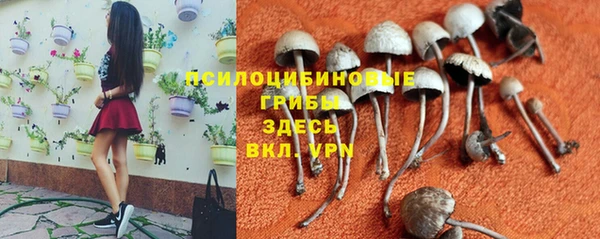скорость Алексин