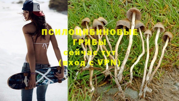 скорость Алексин