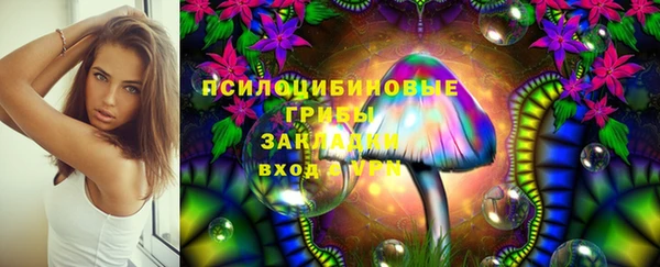 скорость Алексин
