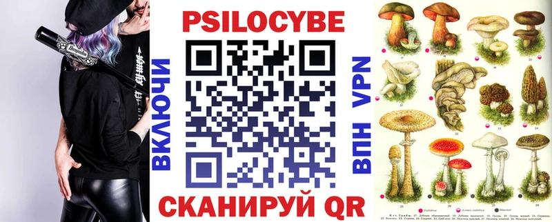 KRAKEN ссылки  Курганинск  дарк нет клад  Галлюциногенные грибы прущие грибы 